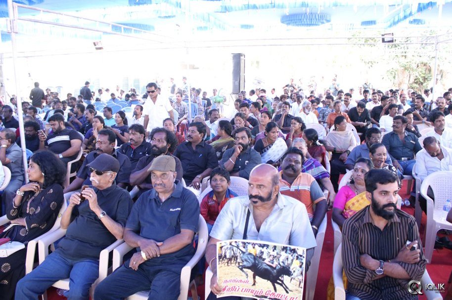 Tamil-Actors-Protest-For-Jallikattu